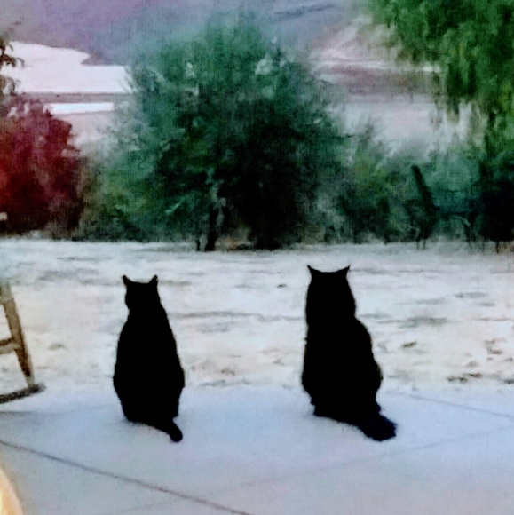 Meet your Posher, Christine - Picture 13 of 14